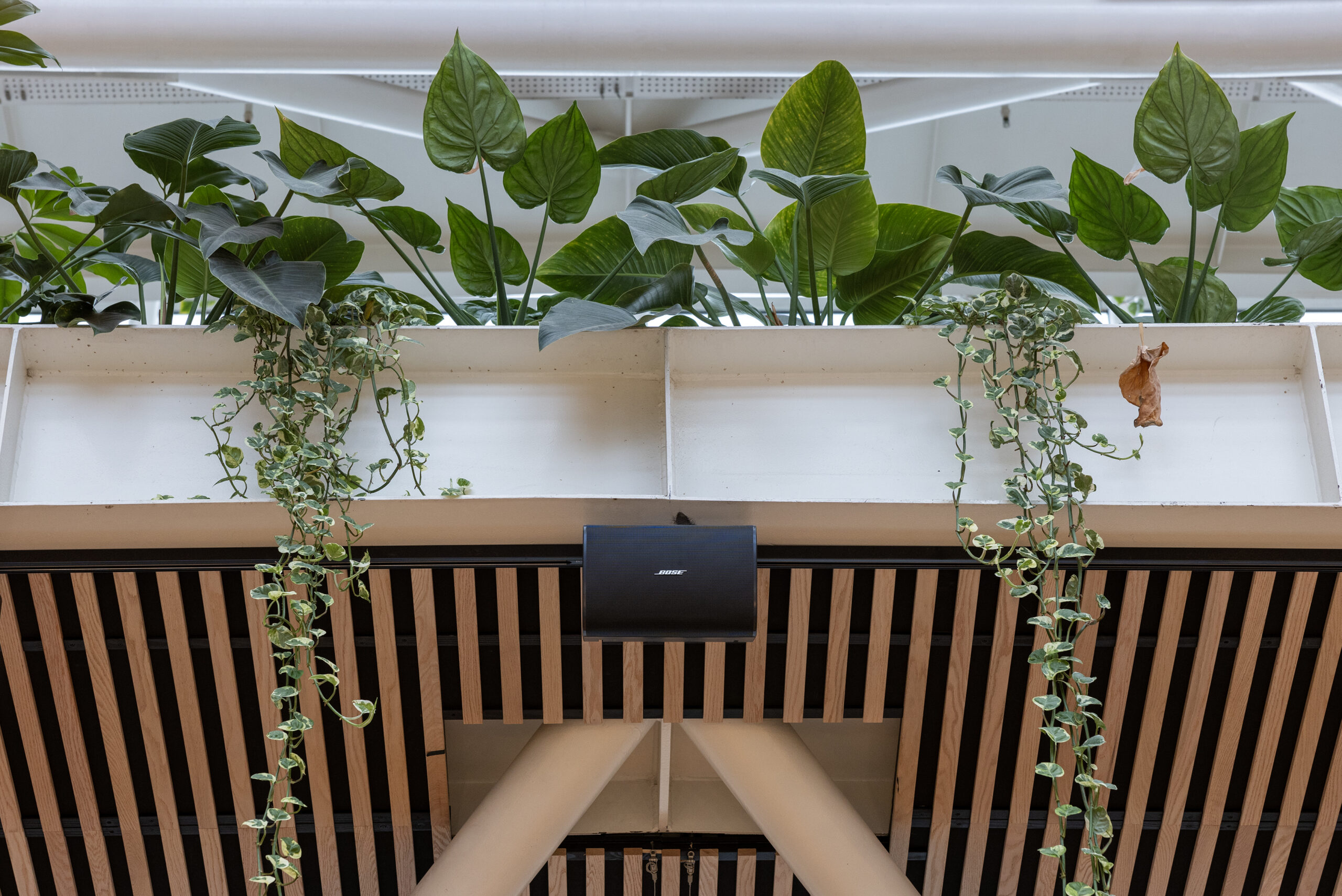 intégration sonore discrète